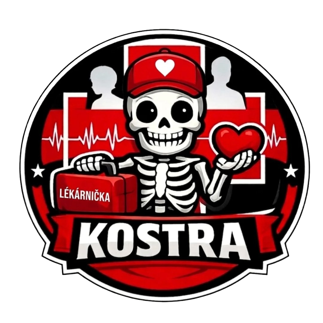KOSTRA logo